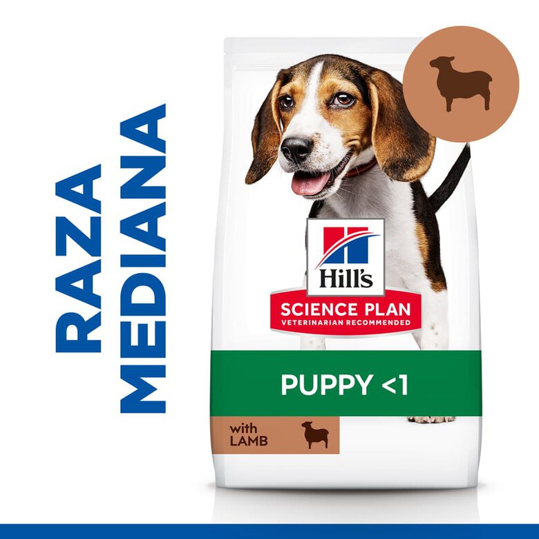 Hill's Science Plan Puppy Medium Cordero y arroz Pienso para perros, , large image number null